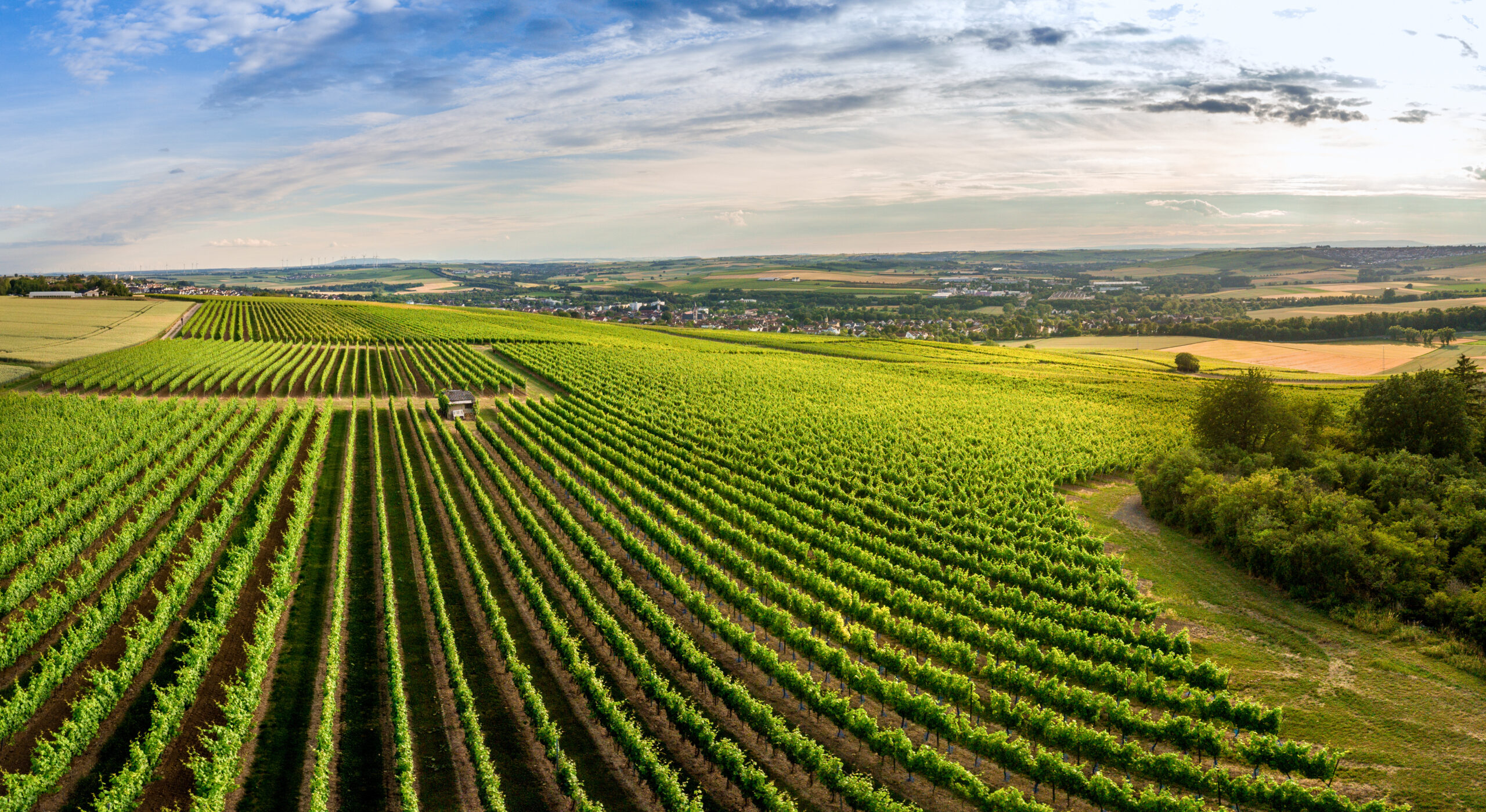 Regionalpark Rheinhessen